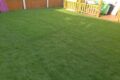 New Lawns